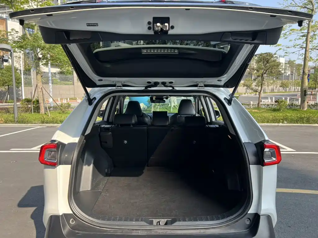 Toyota Wildlander 2020 — фото 10