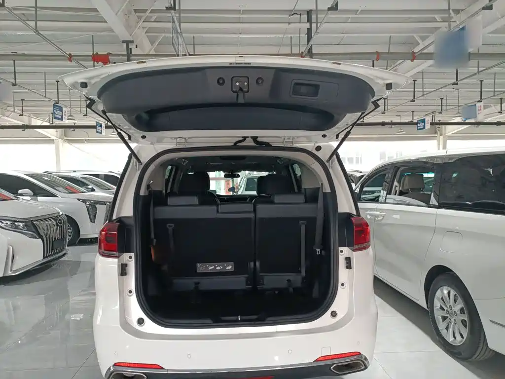 GAC Motor Trumpchi M8 2019 — фото 19