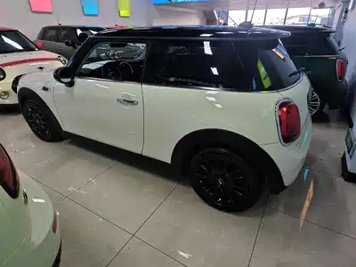 MINI MINI 2018