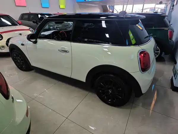 MINI MINI 2018