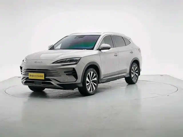 BYD PLUS New Energy 2023 — фото 9