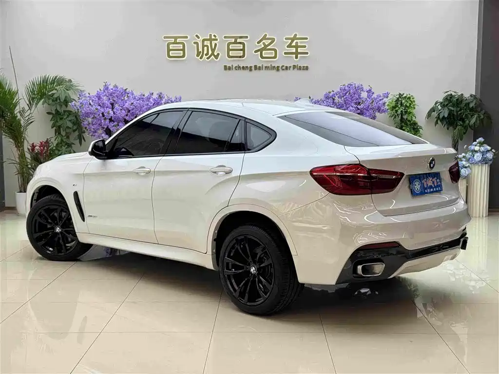 BMW X6 2019 — фото 8