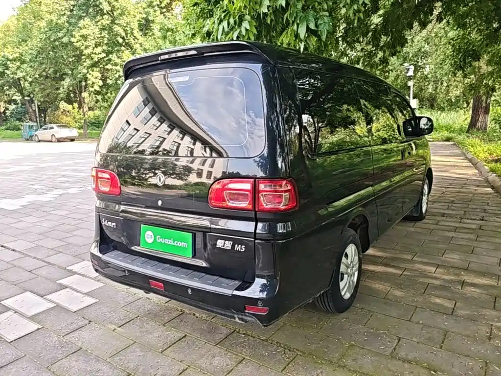 Fengxing Lingzhi 2020
