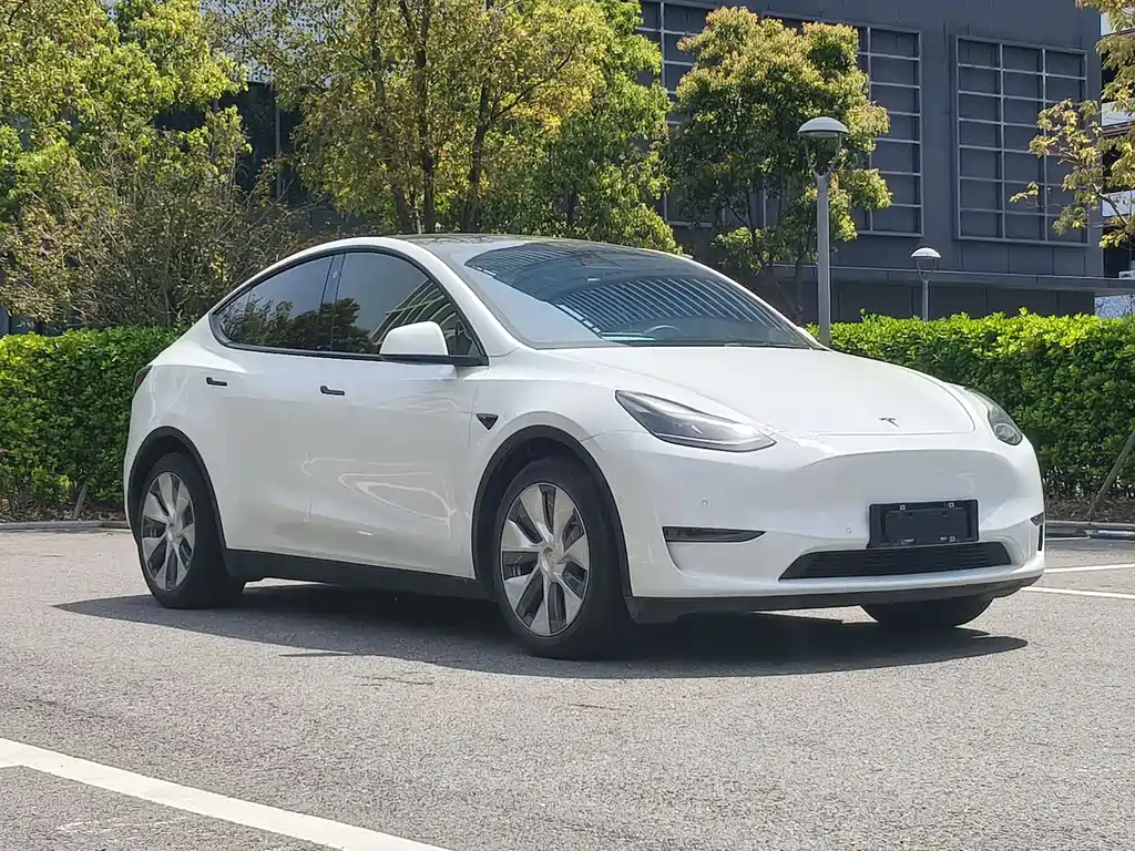 Tesla Model Y 2021 — фото 3