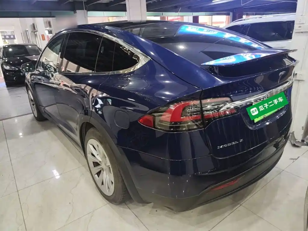 Tesla Model X 2019 — фото 23