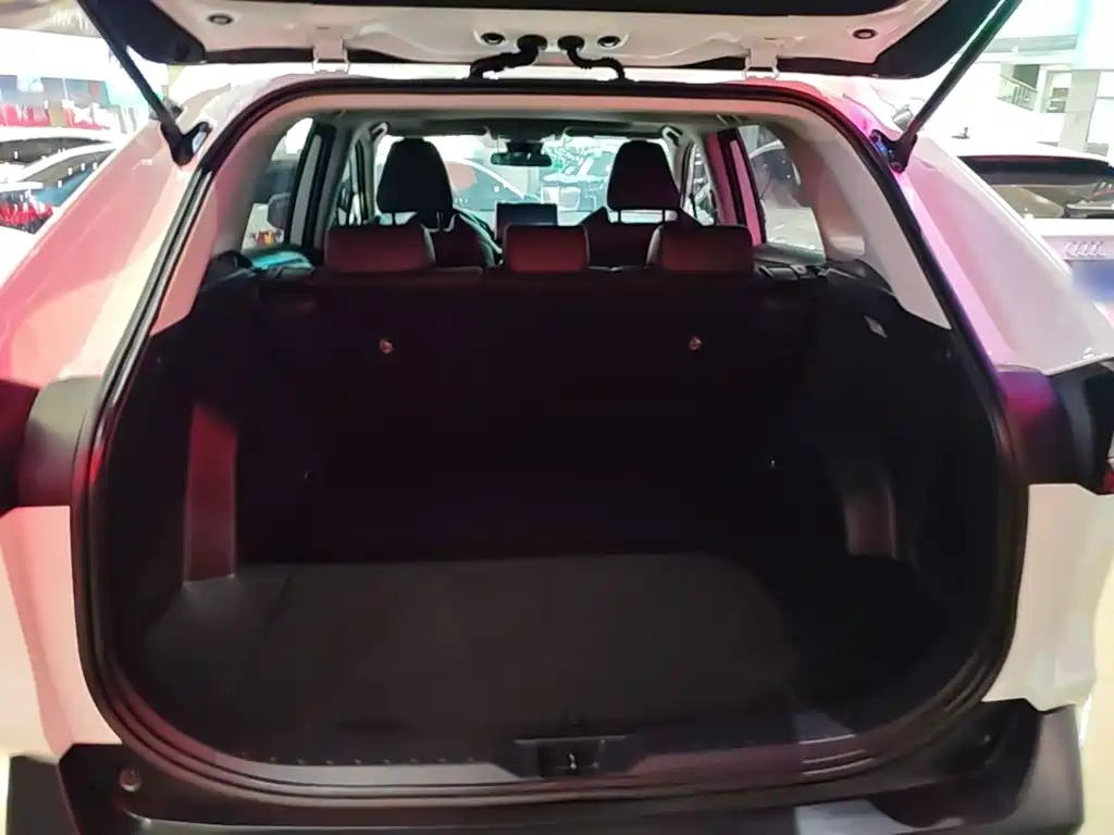 Toyota Wildlander 2021 — фото 19