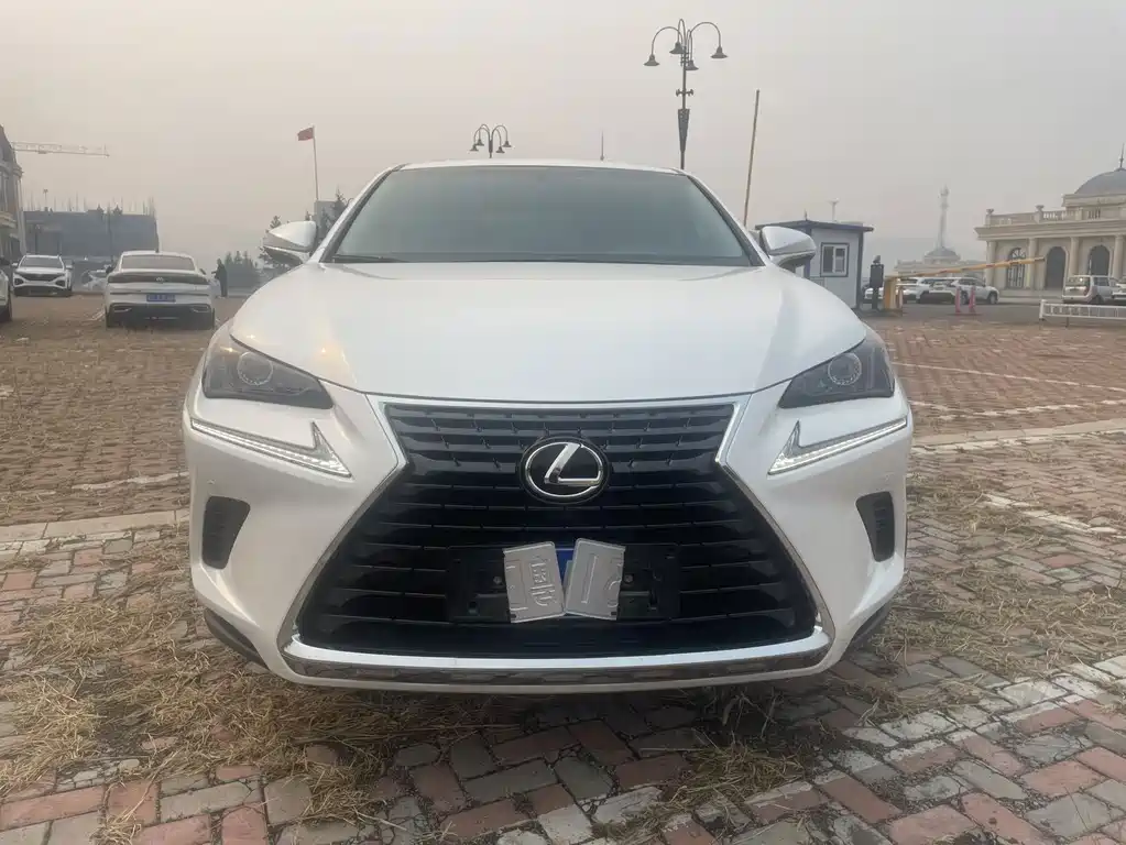 Lexus NX 2018 — фото 2