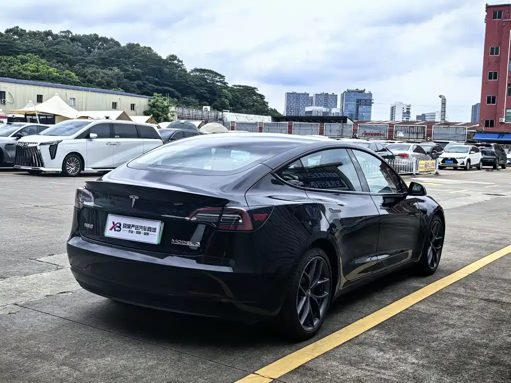 Tesla Model 3 2021