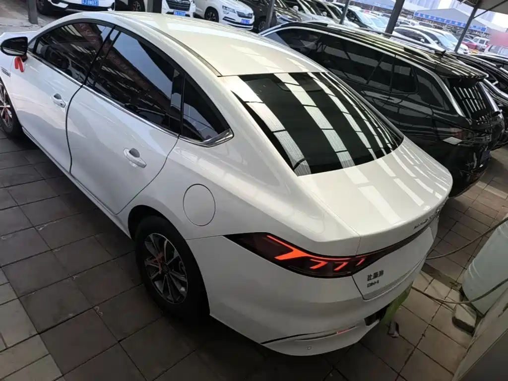 BYD Qin PLUS 2024