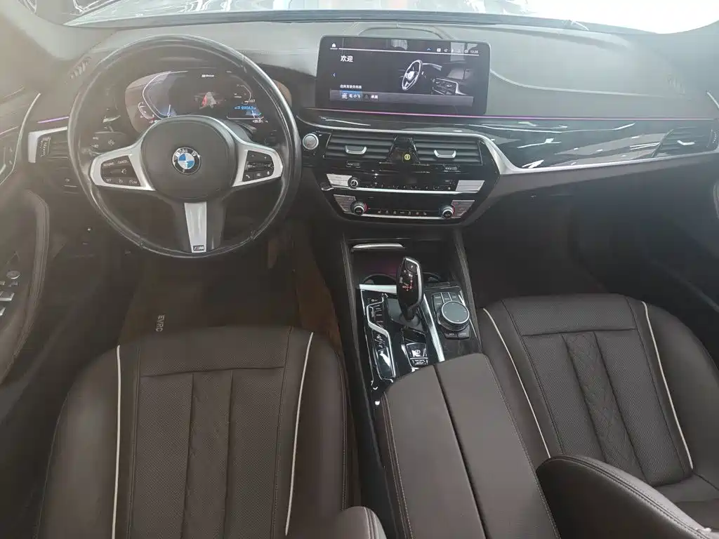 BMW 5 Series New Energy 2021