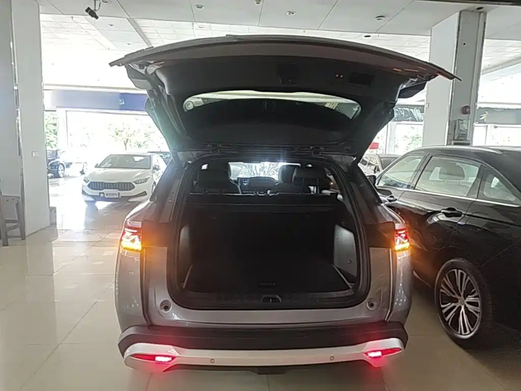 BYD L DM-i 2025 — фото 19