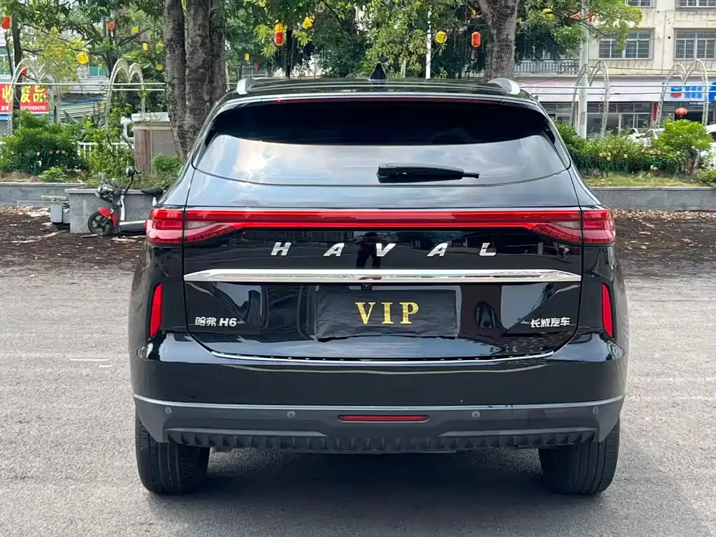 Haval H6 2021 — фото 8