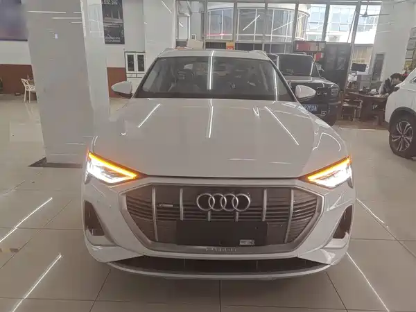 Audi e-tron 2021