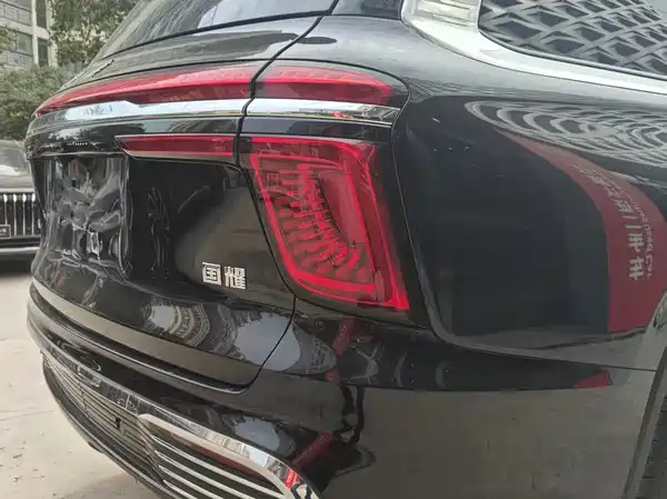 Hongqi Golden Sunflower Guoyao 2022