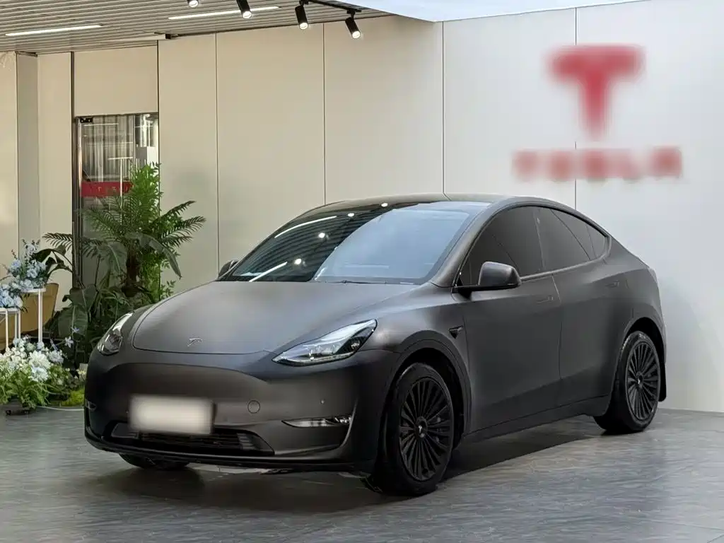 Tesla Model Y 2021 — фото 2