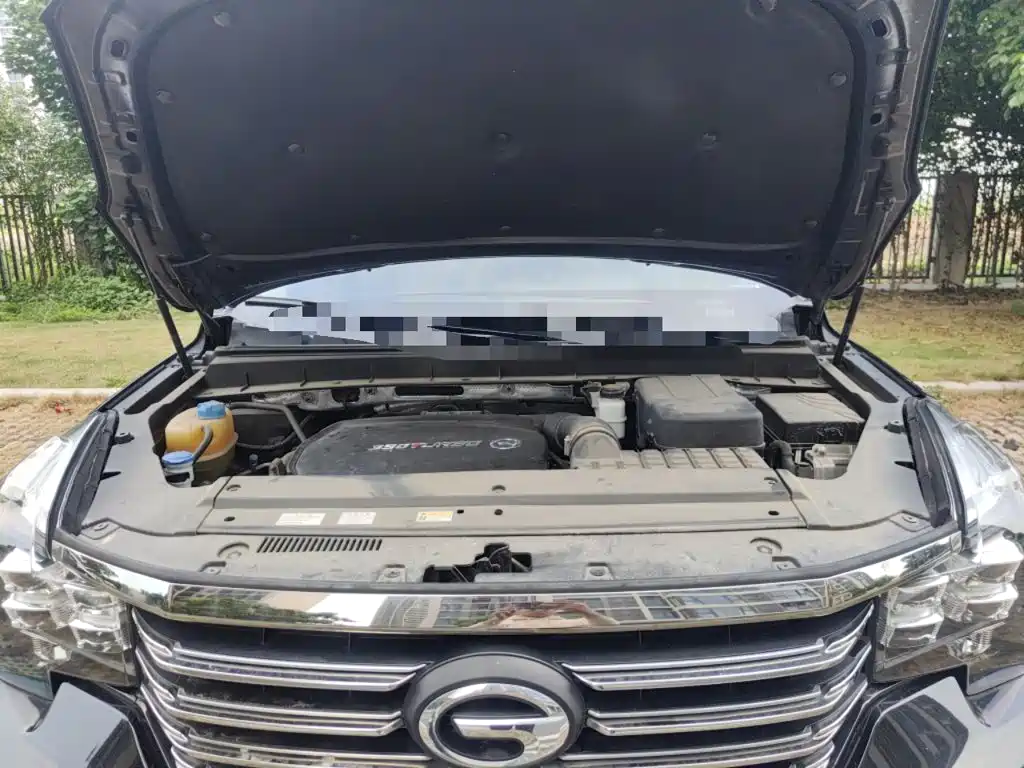 GAC Trumpchi GS8 2020 — фото 11