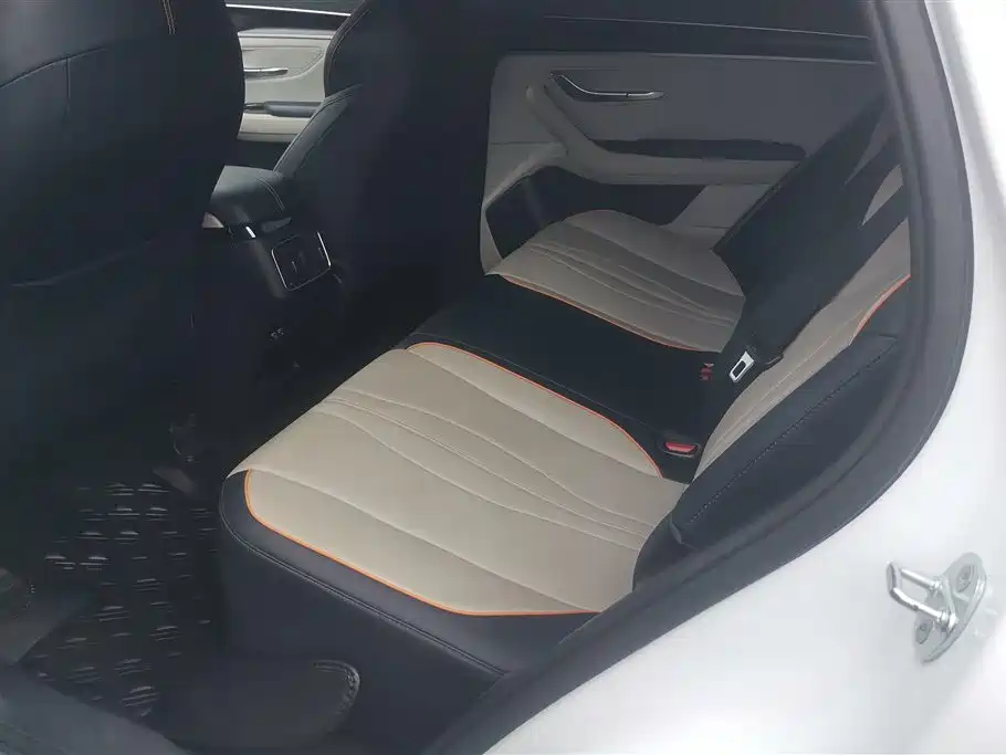 BYD PLUS New Energy 2023 — фото 11