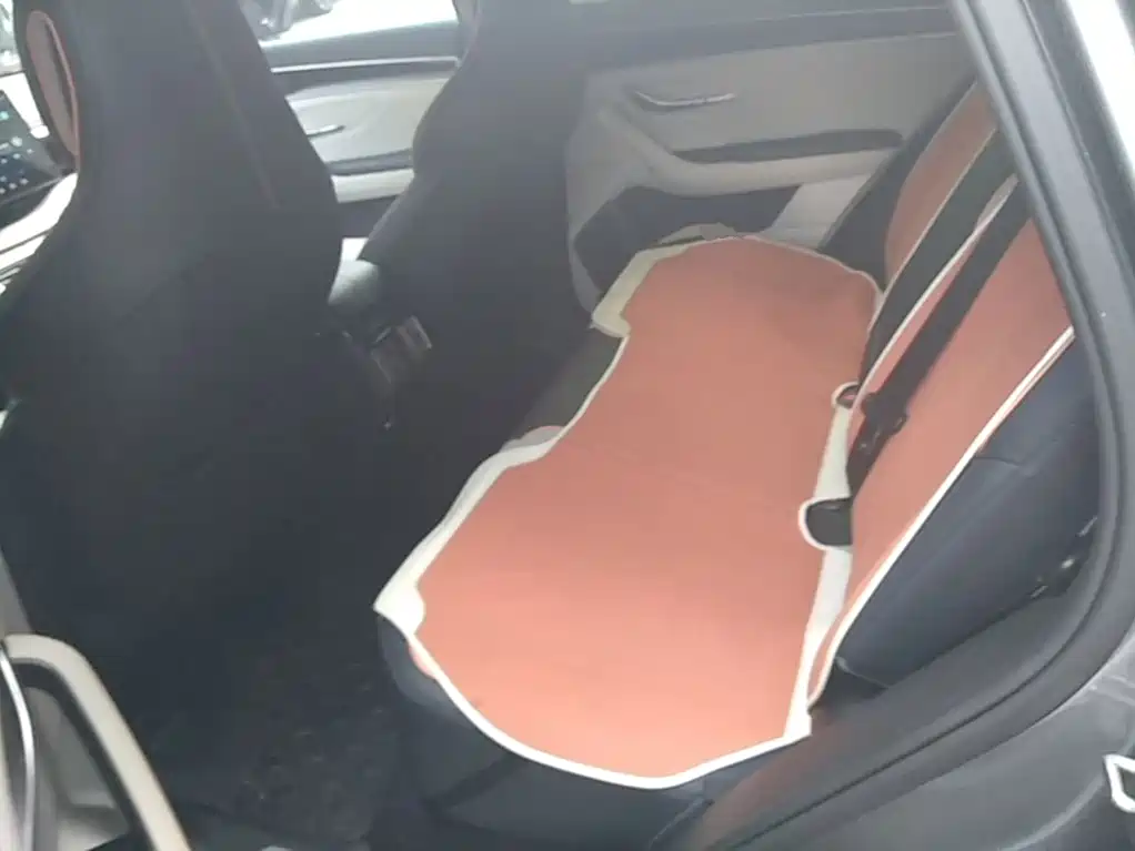 BYD Song PLUS New Energy 2022 — фото 17