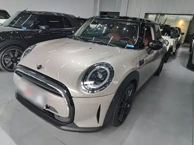 MINI MINI 2021