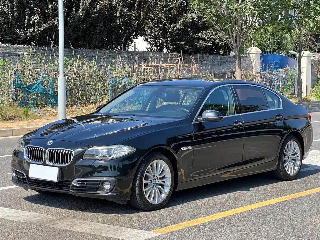 BMW 5 Series 2014 — фото 1