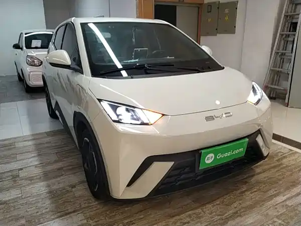BYD Seagull 2024