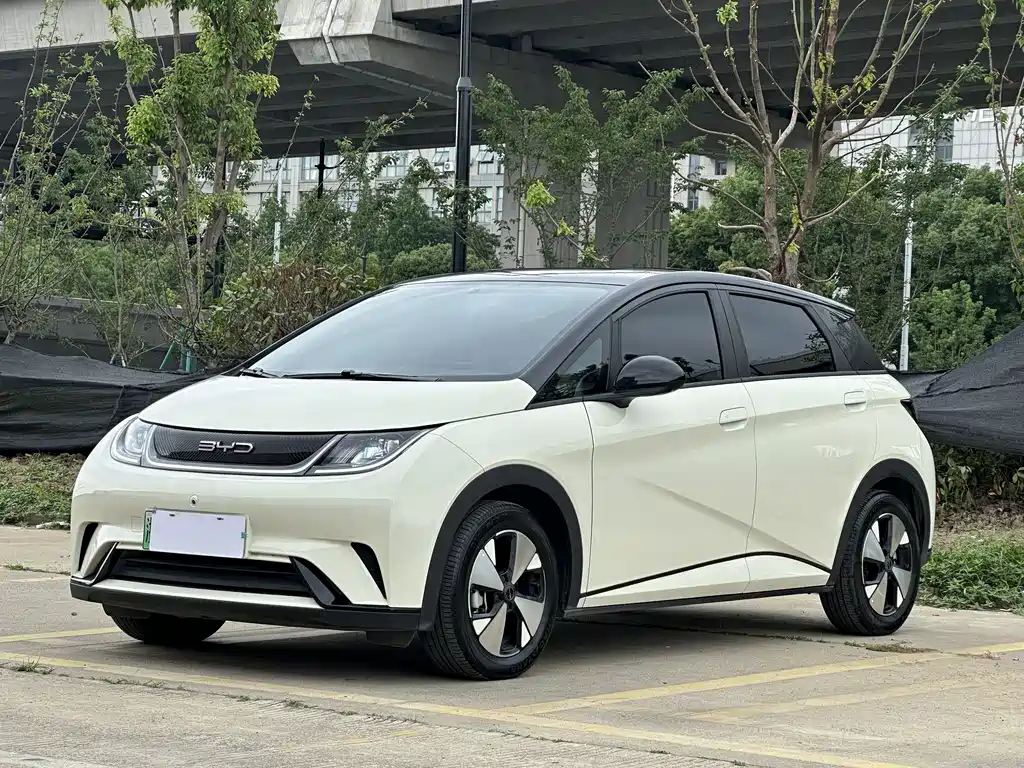 BYD Dolphin 2023 — фото 1