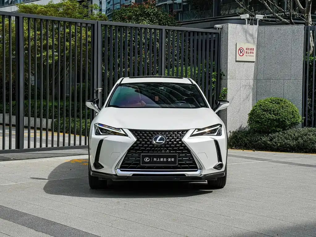 Lexus UX 2021 — фото 2