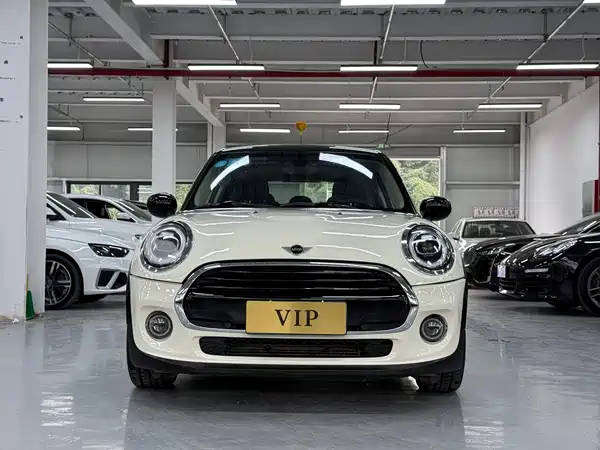 MINI MINI 2018