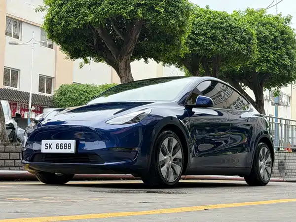 Tesla Model Y 2021