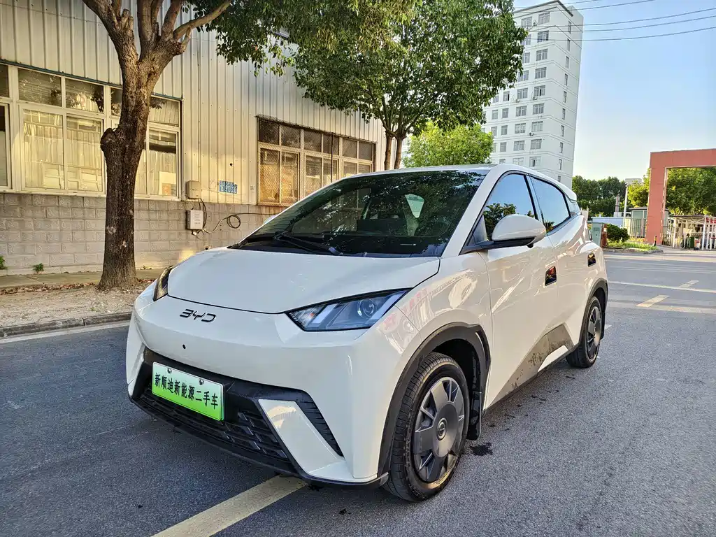 BYD Seagull 2024