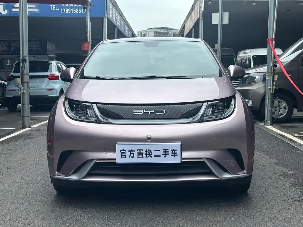 BYD Dolphin 2022