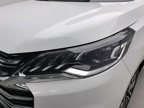 Maxus G50 2019