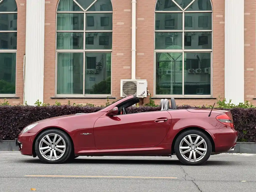 Mercedes-Benz SLK-Class 2010 — фото 2