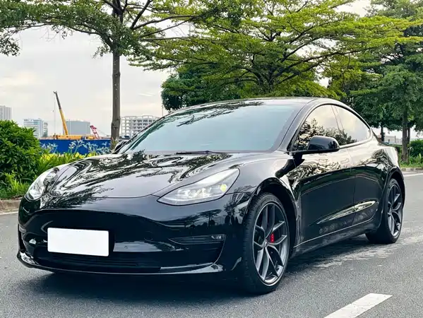 Tesla Model 3 2021