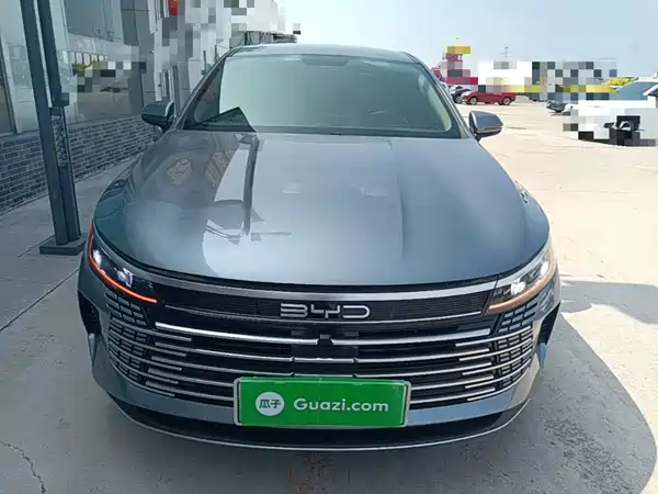BYD Destroyer 05 2024