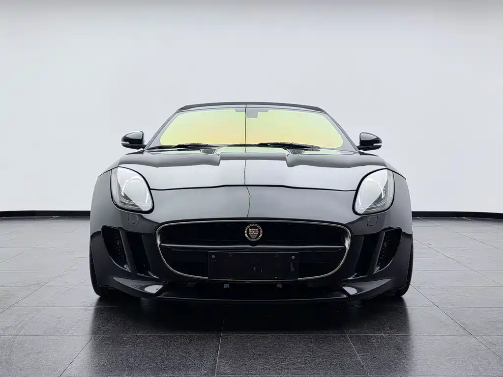 Jaguar F-TYPE 2013 — фото 11