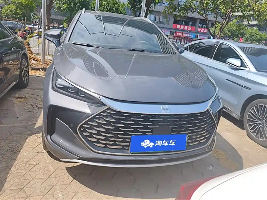 BYD Tang New Energy 2024