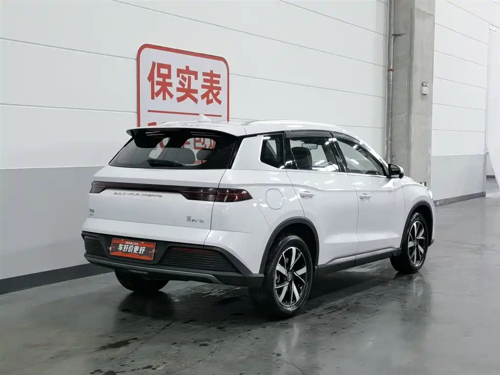 BYD Pro New Energy 2023 — фото 2