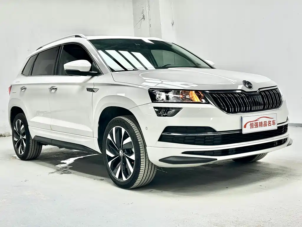 Skoda Karoq 2022 — фото 8