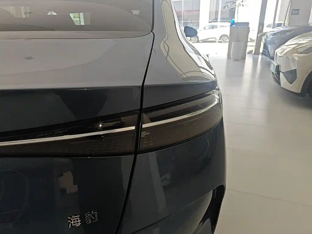 BYD Seal 2024 — фото 24