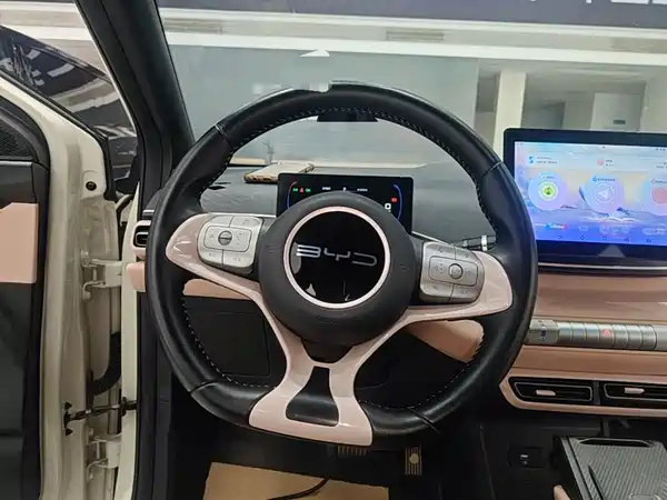 BYD Seagull 2024