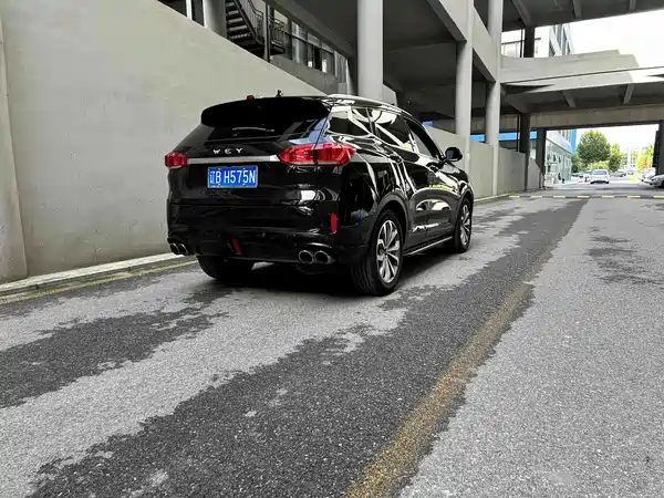 Wey VV6 2019