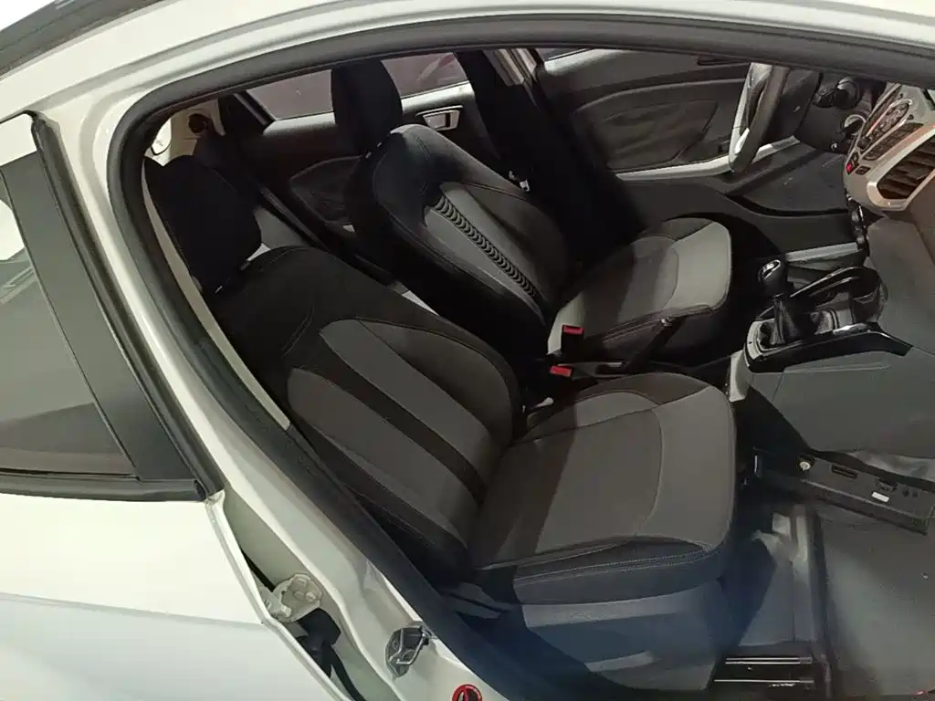 Ford EcoSport 2014 — фото 16