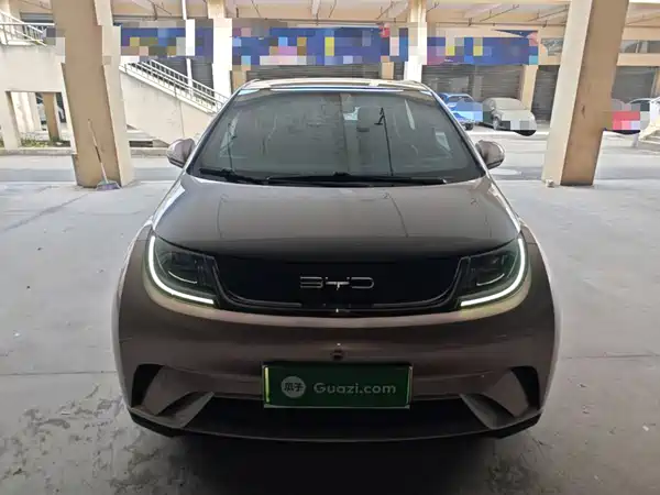 BYD Dolphin 2022