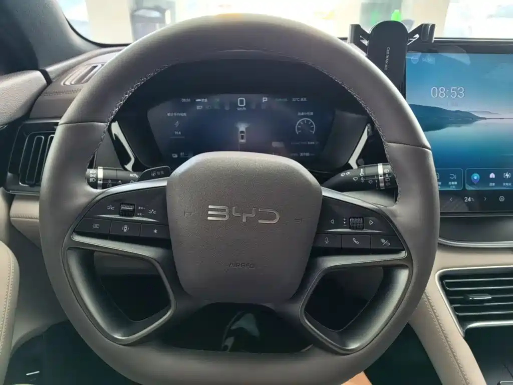 BYD Song PLUS New Energy 2025 — фото 11