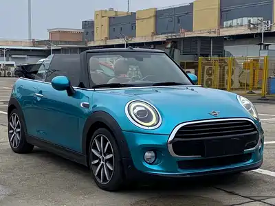 MINI MINI 2019