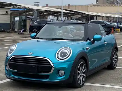 MINI MINI 2019