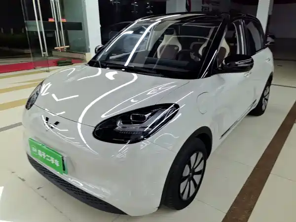 Wuling Bingo 2024