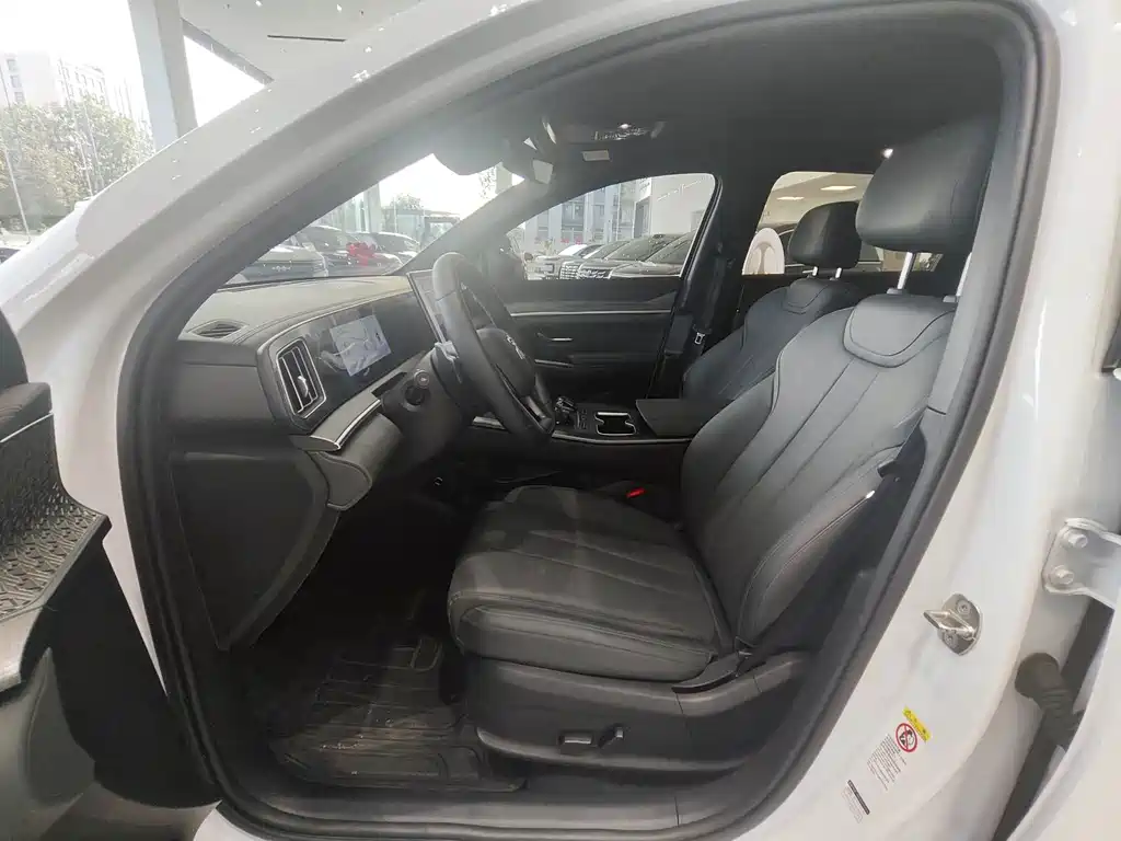 BYD Song Pro New Energy 2025 — фото 9