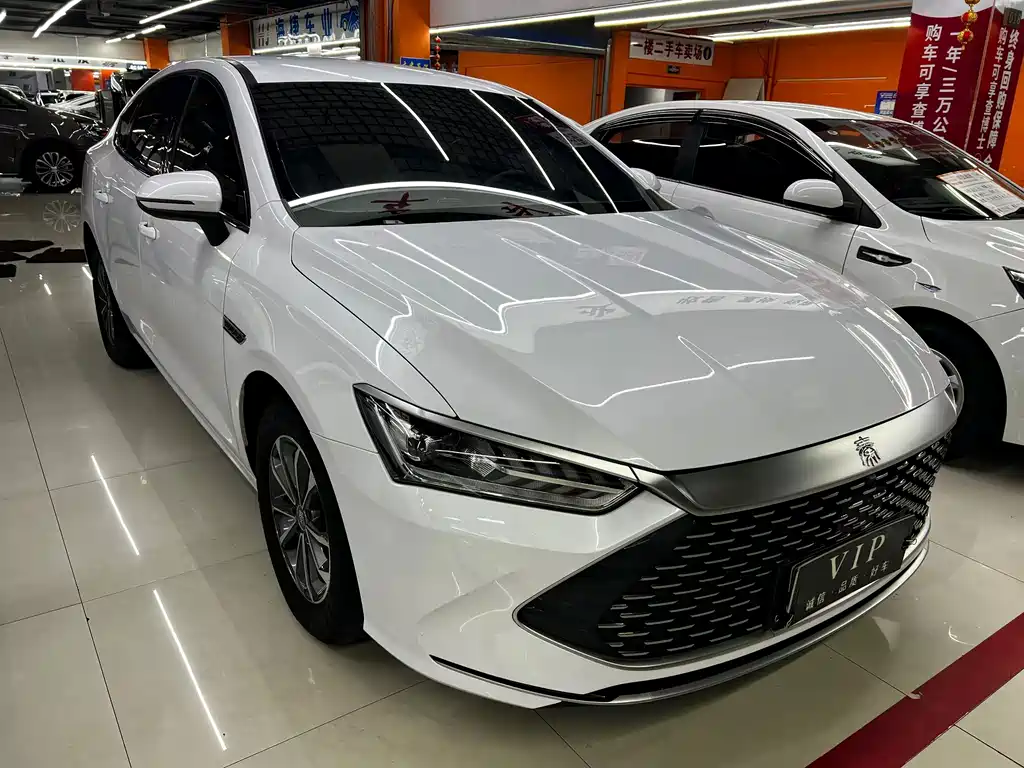 BYD Qin PLUS 2024 — фото 3